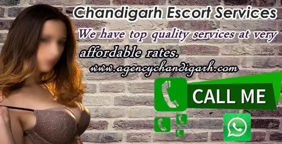 escorts chandigarh