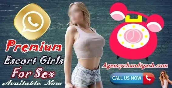 chandigarh escorts services