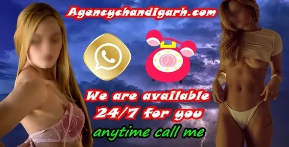 escorts chandigarh