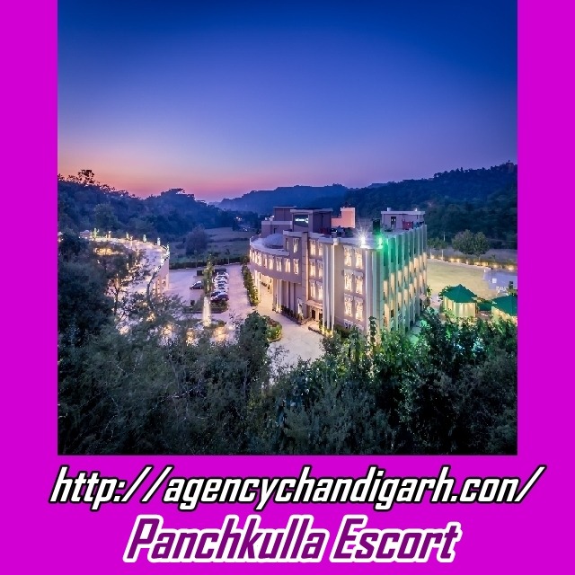 Panchkula Escort